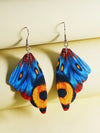 Vibrant Butterfly Wing Earrings