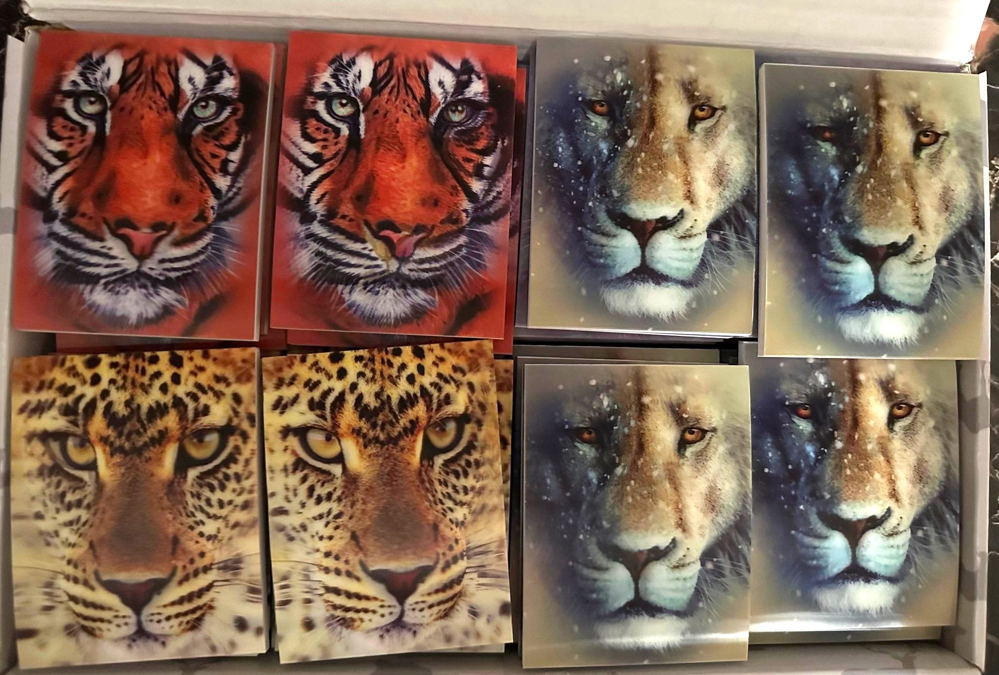 3D Notebooks Lions and Tigers-4pack